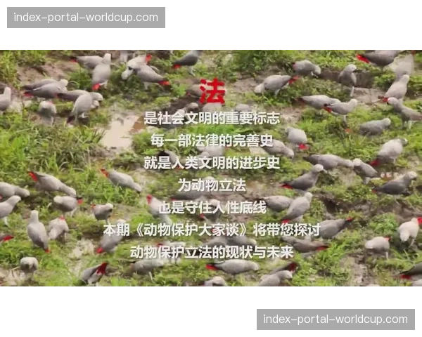 法律视角：美国国家公园山地车路线使用权纠纷案再次被提起